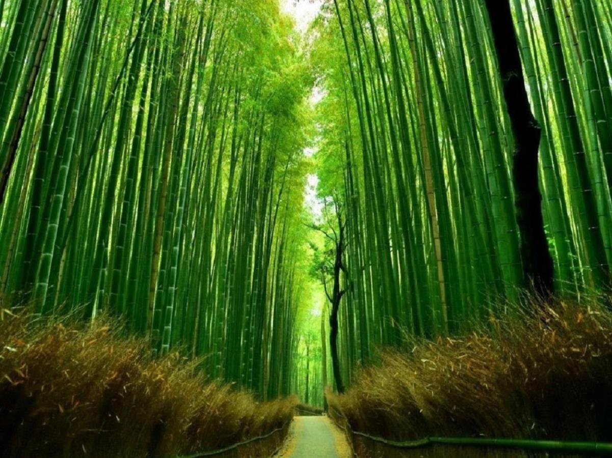 Kamo River J~House Kyoto Ngoại thất bức ảnh